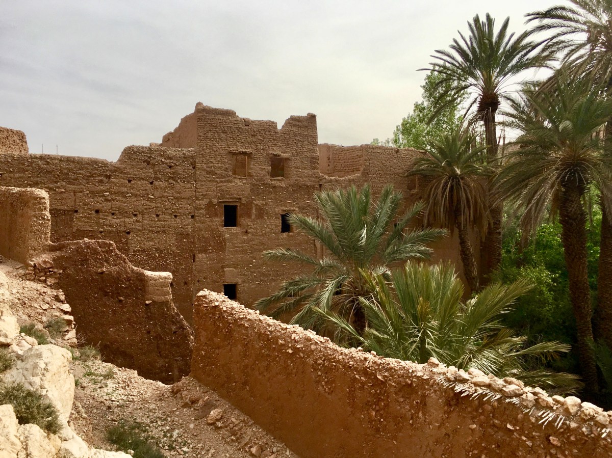 fullsizeoutput_1c0b0