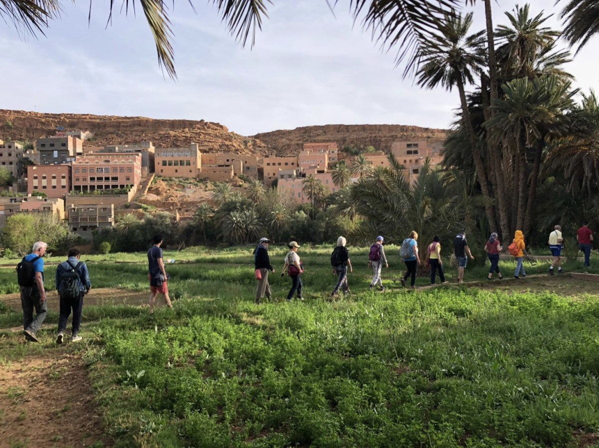 fullsizeoutput_1c106