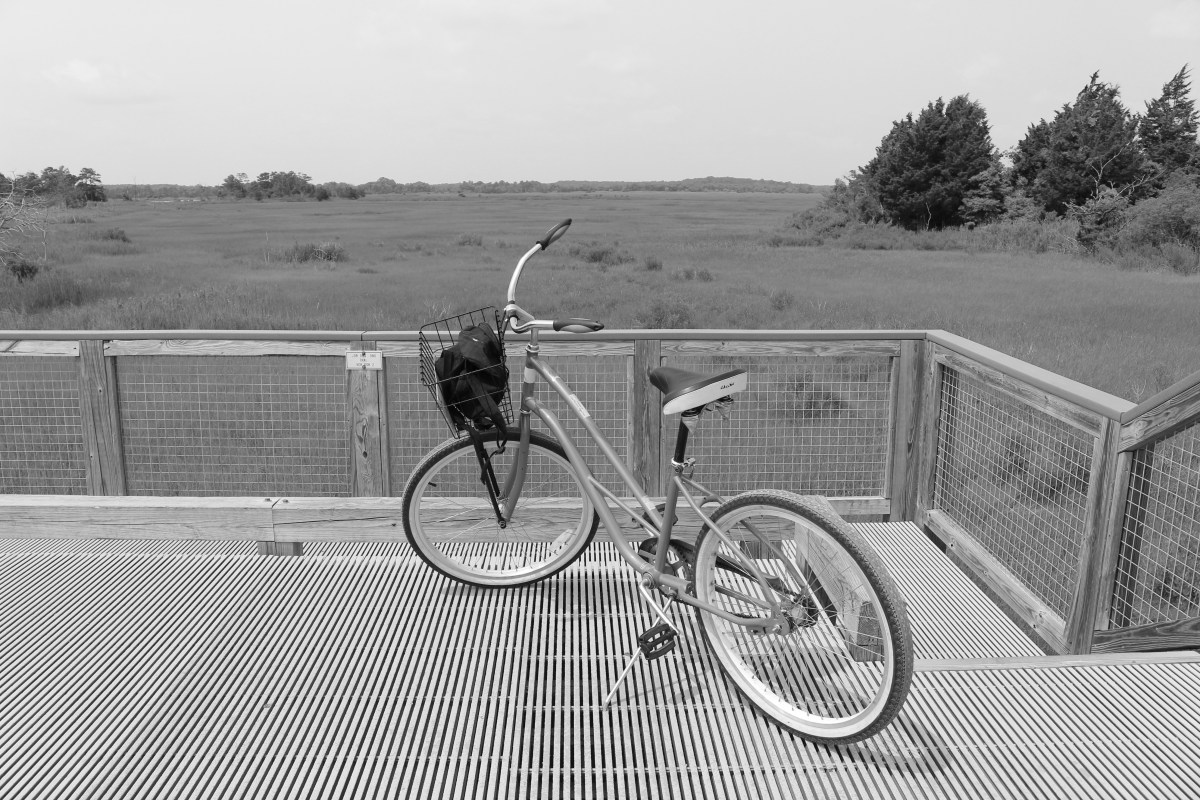 fullsizeoutput_1c119