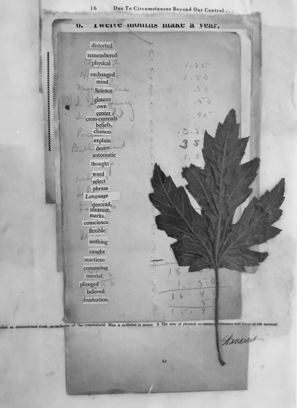 fullsizeoutput_1c11c