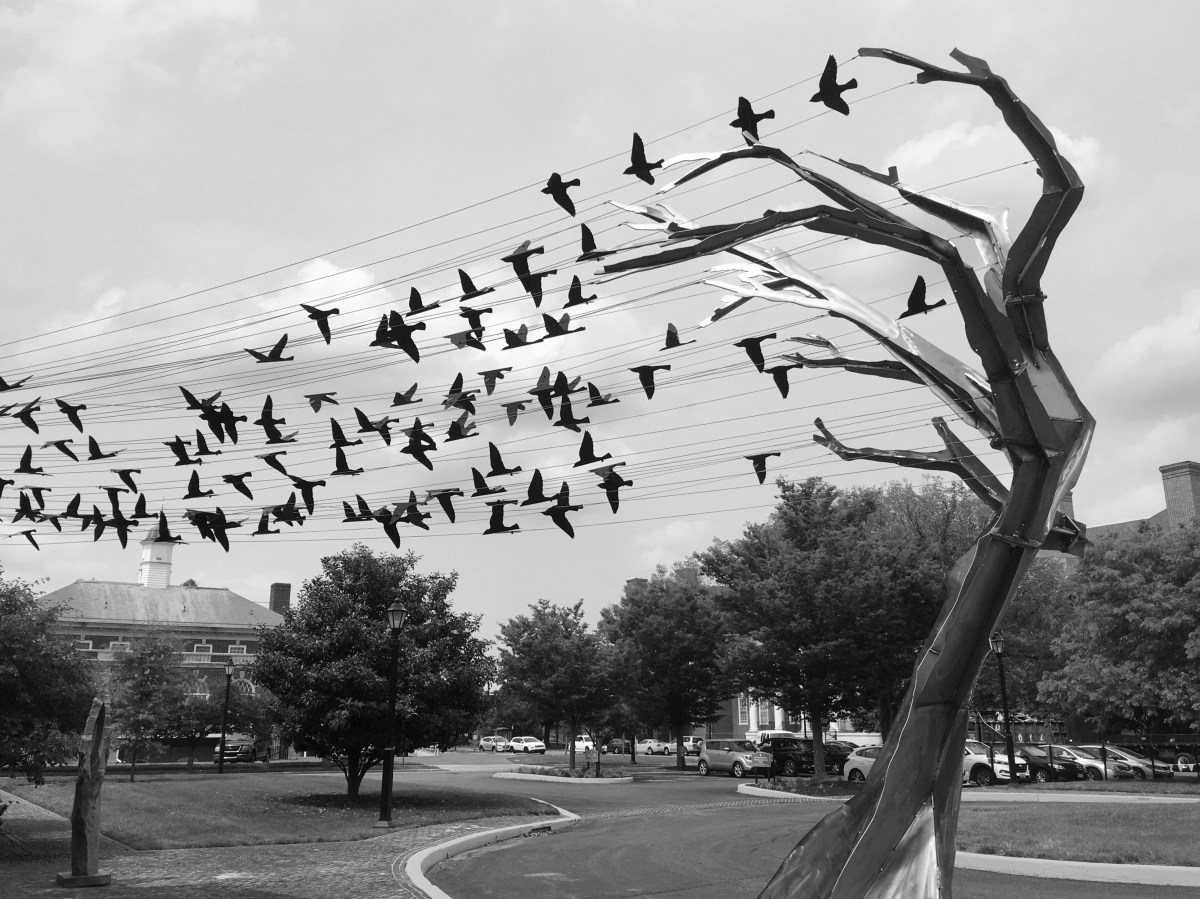 fullsizeoutput_1c11e