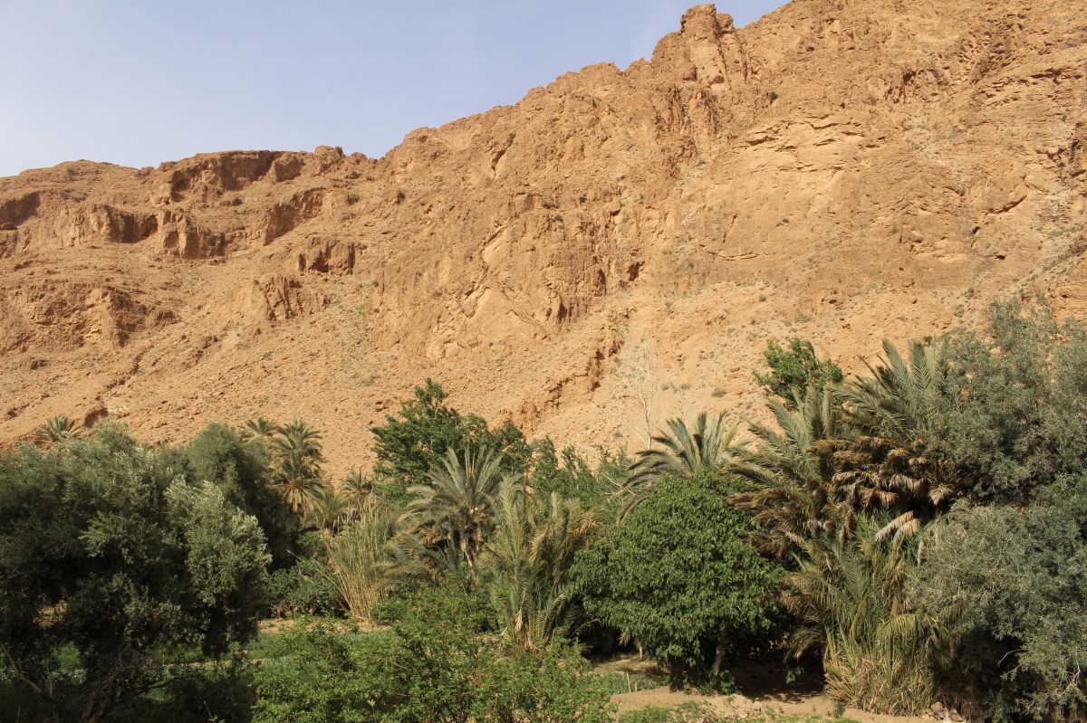 fullsizeoutput_1c124