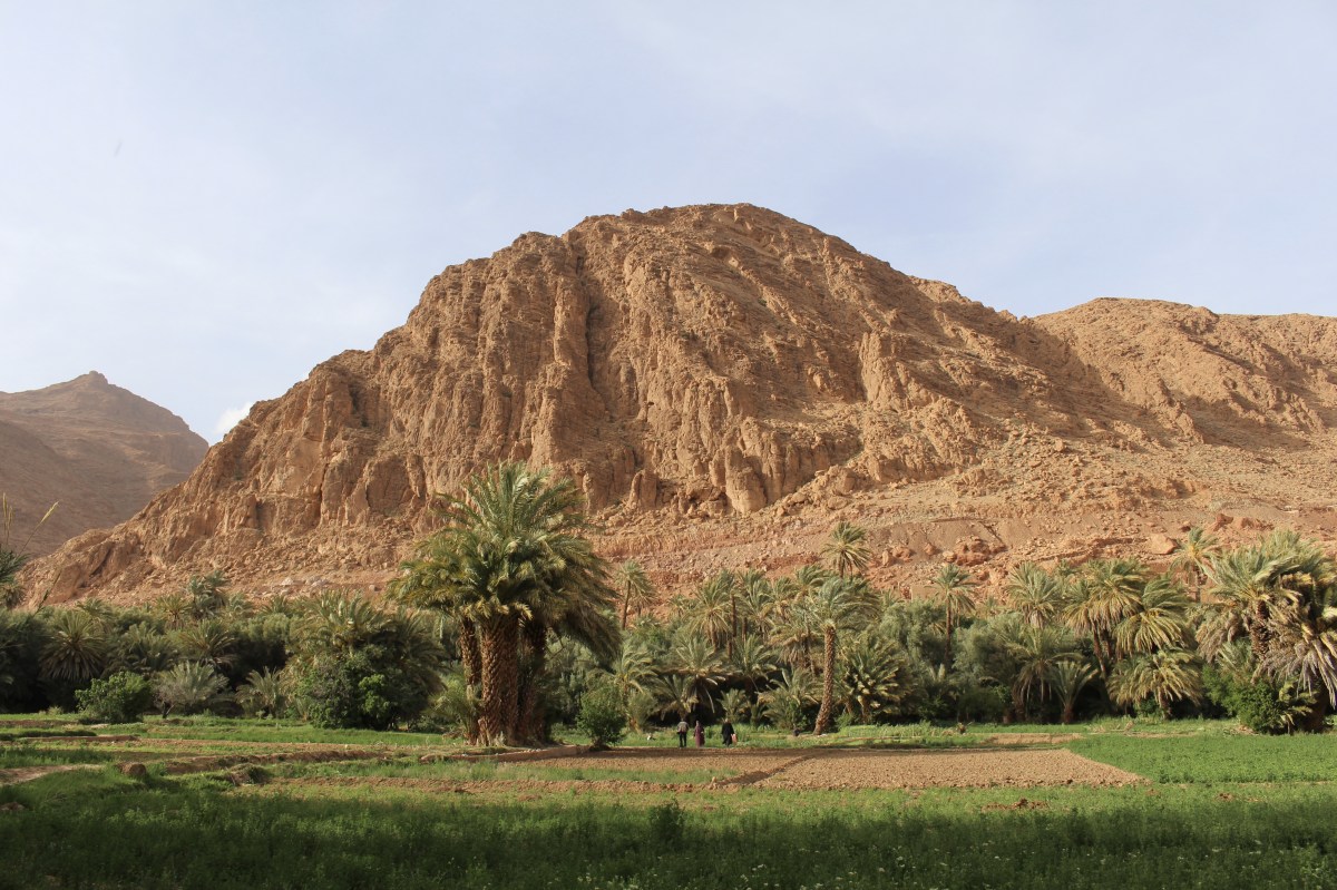 fullsizeoutput_1c13f