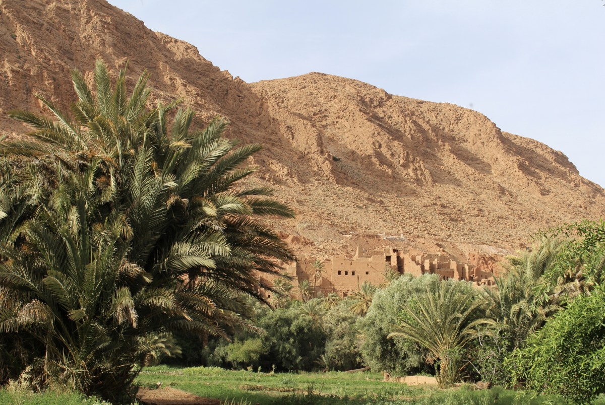 fullsizeoutput_1c142