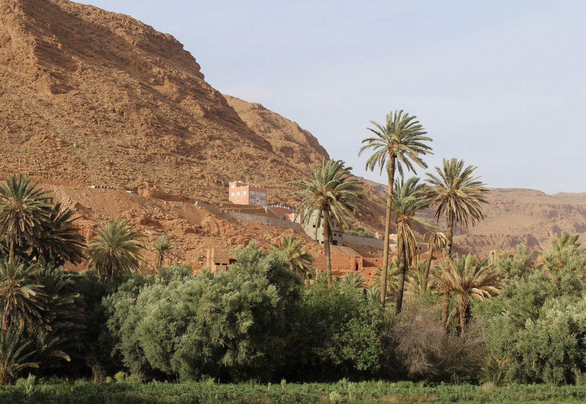 fullsizeoutput_1c147