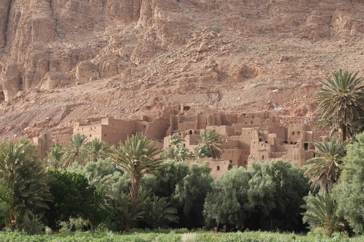 fullsizeoutput_1c14d