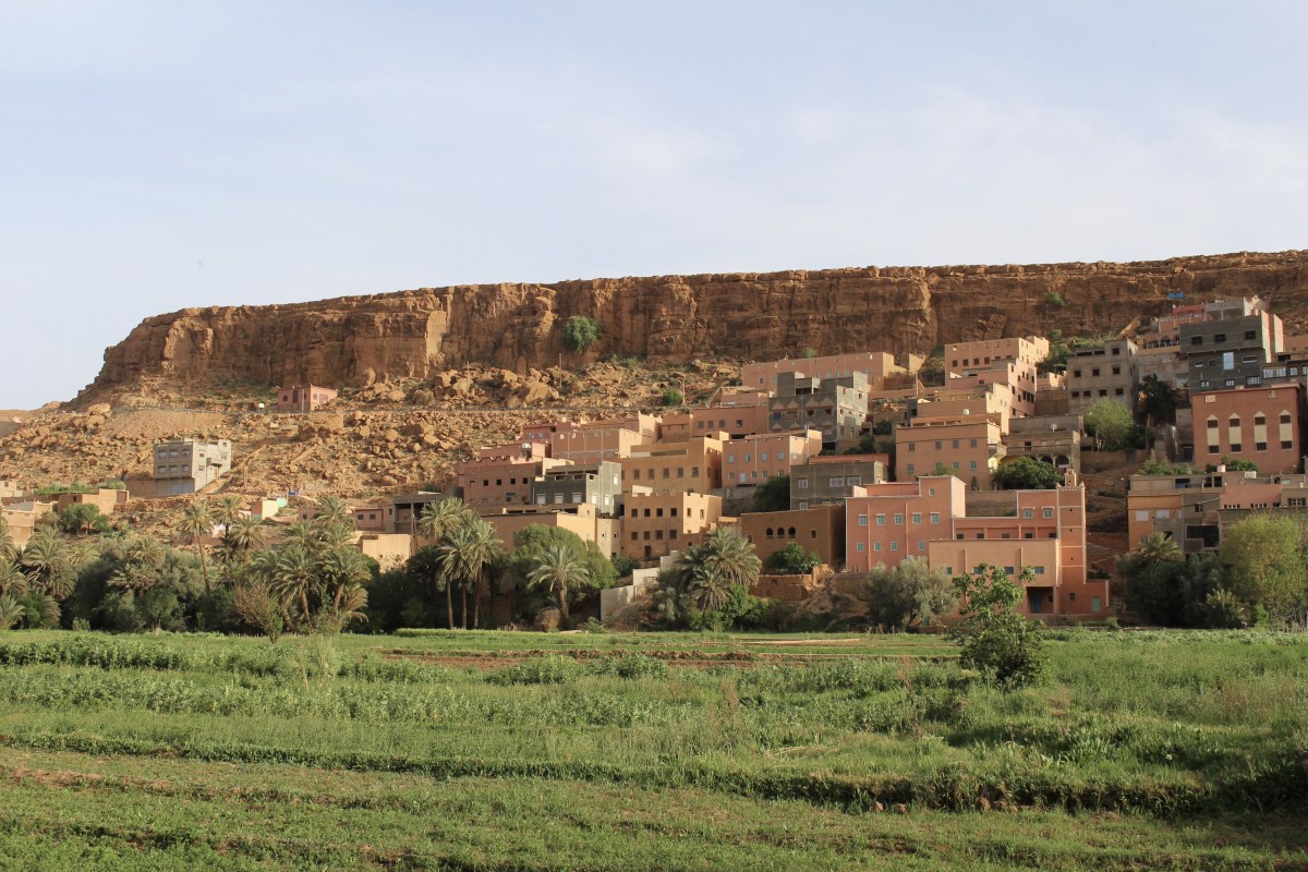 fullsizeoutput_1c156