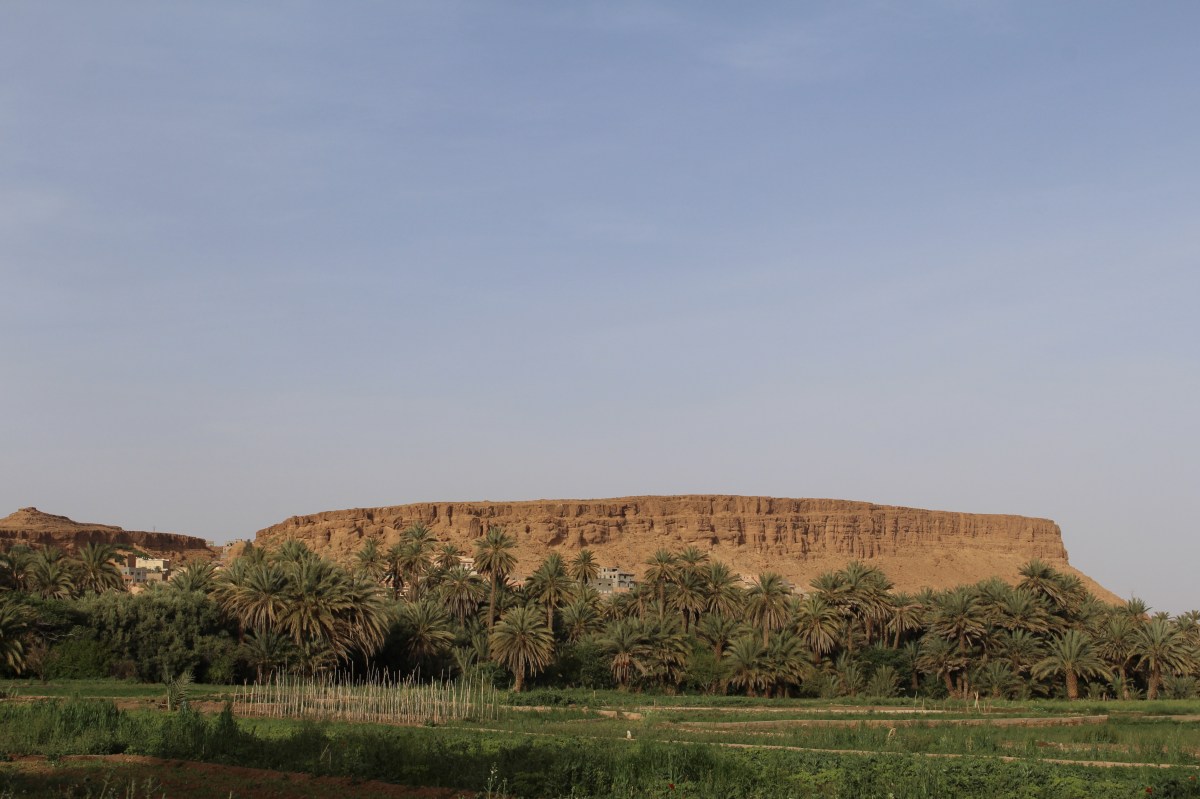 fullsizeoutput_1c159