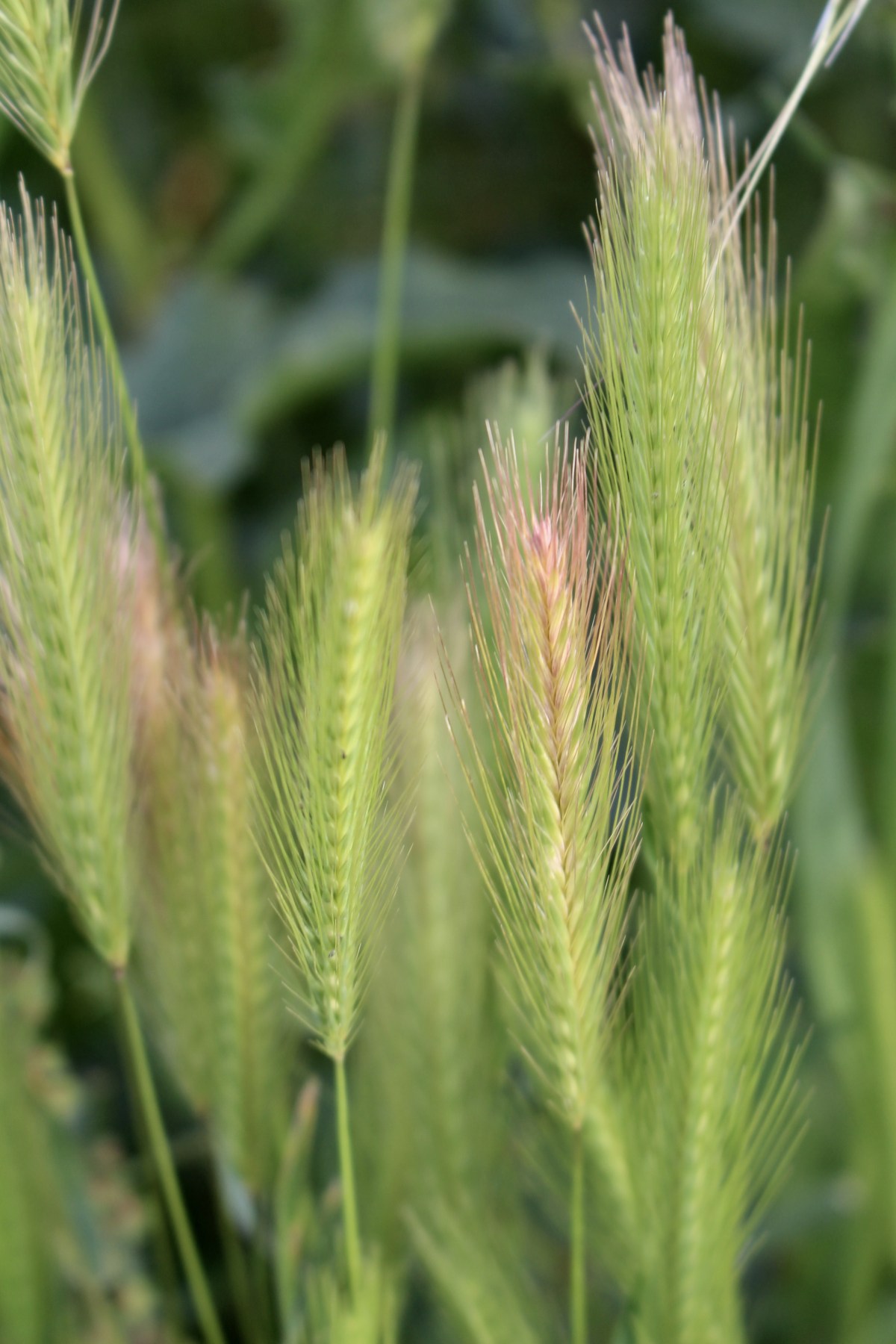 fullsizeoutput_1c15f