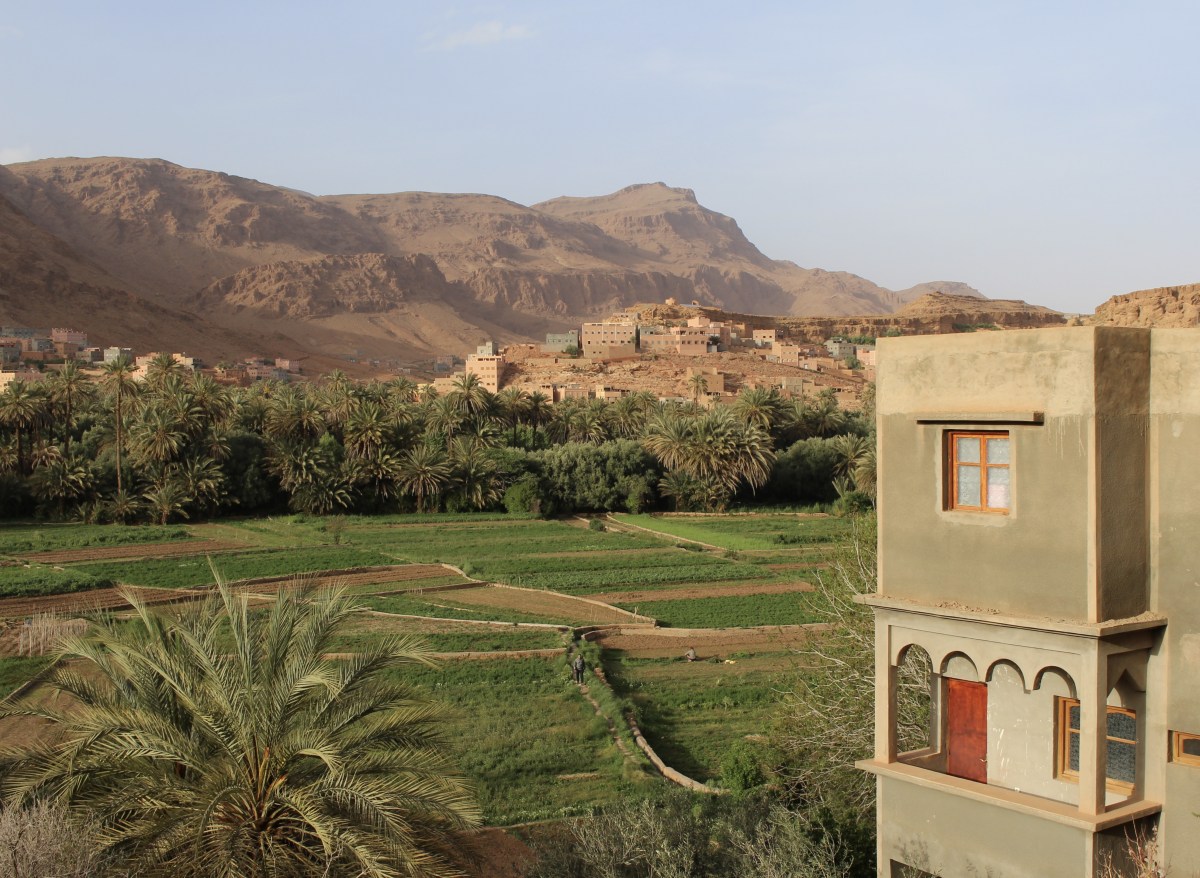 fullsizeoutput_1c167