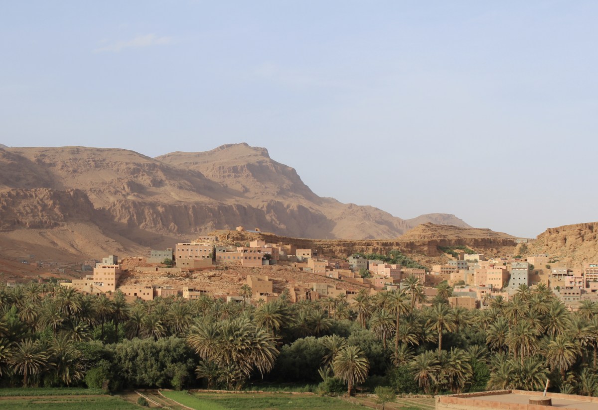 fullsizeoutput_1c168