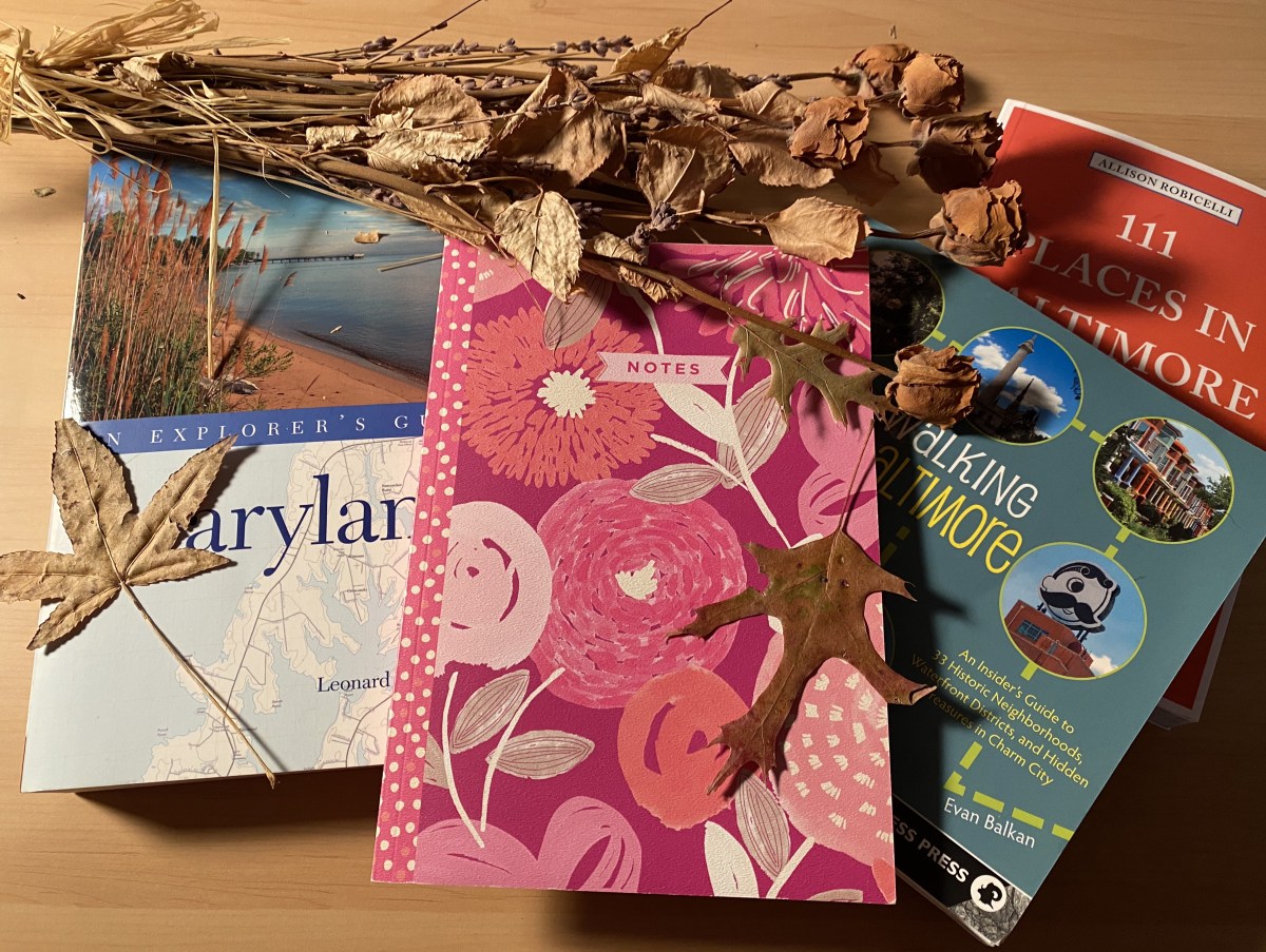 fullsizeoutput_1c648