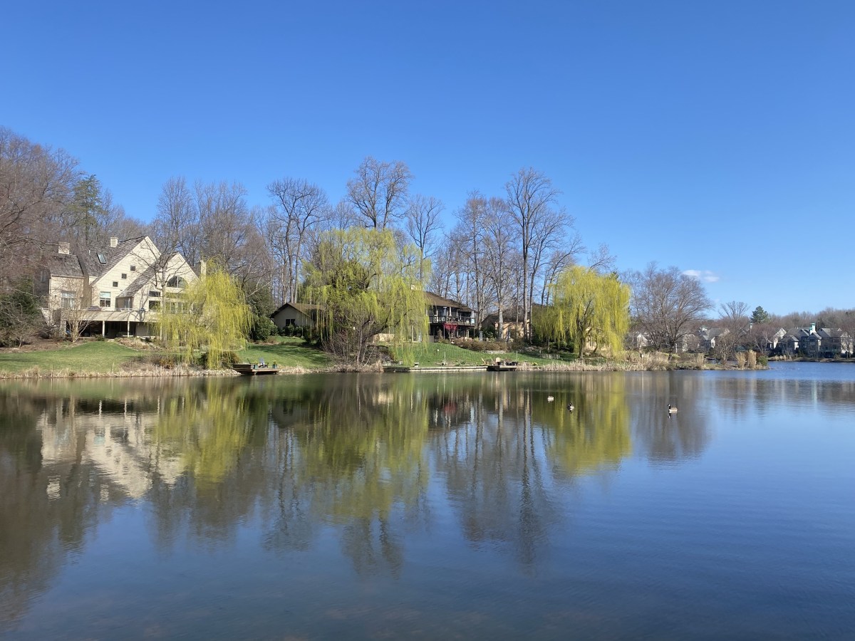 d3RhY6hPQeea8EZNCdnLqA