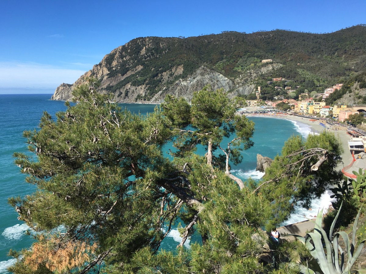 fullsizeoutput_18fa0