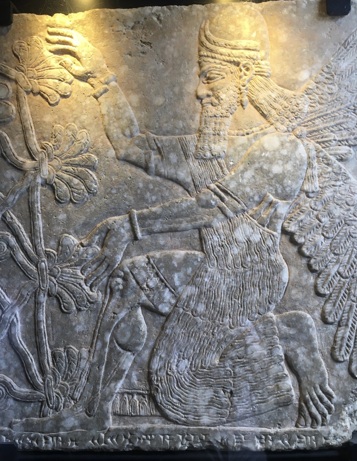 fullsizeoutput_1bf37