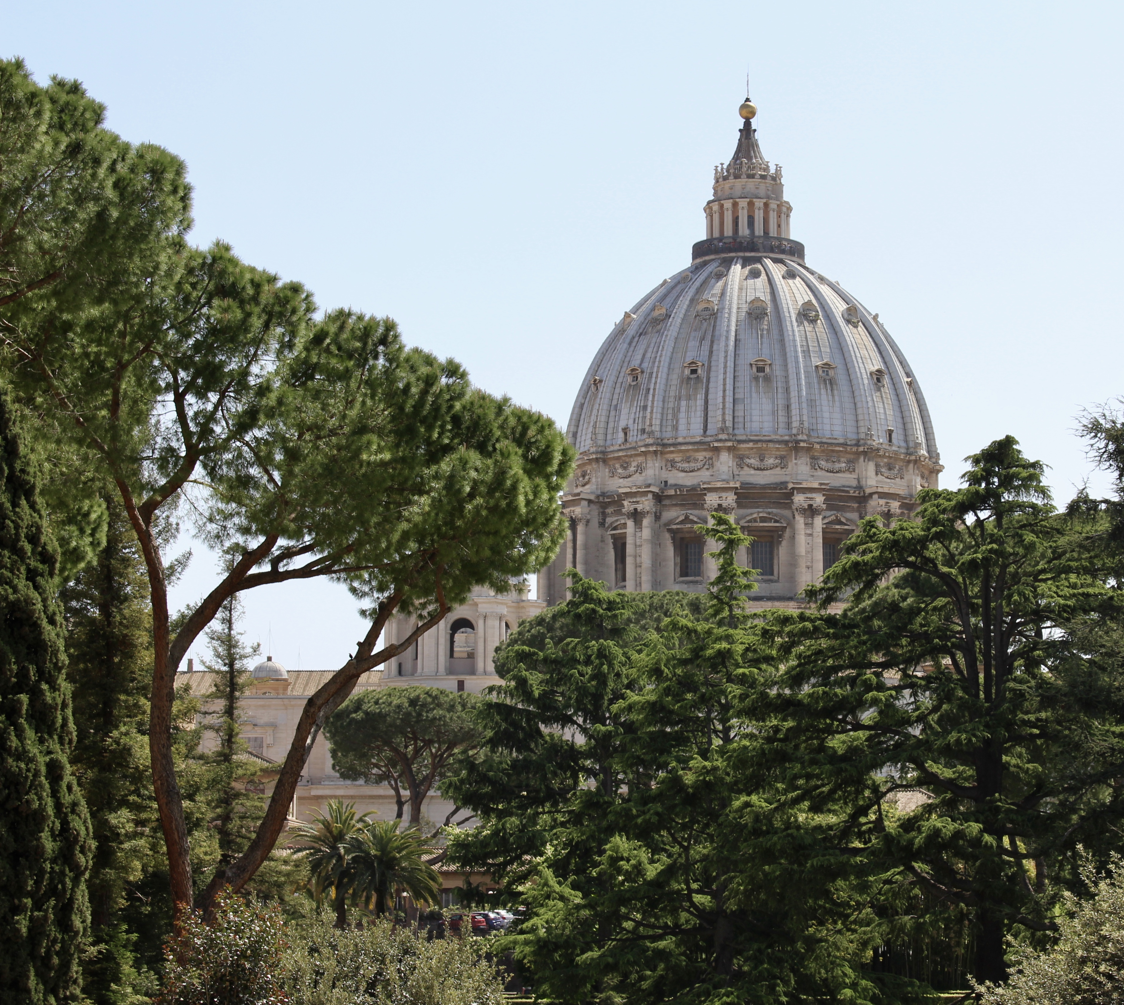 fullsizeoutput_1c011