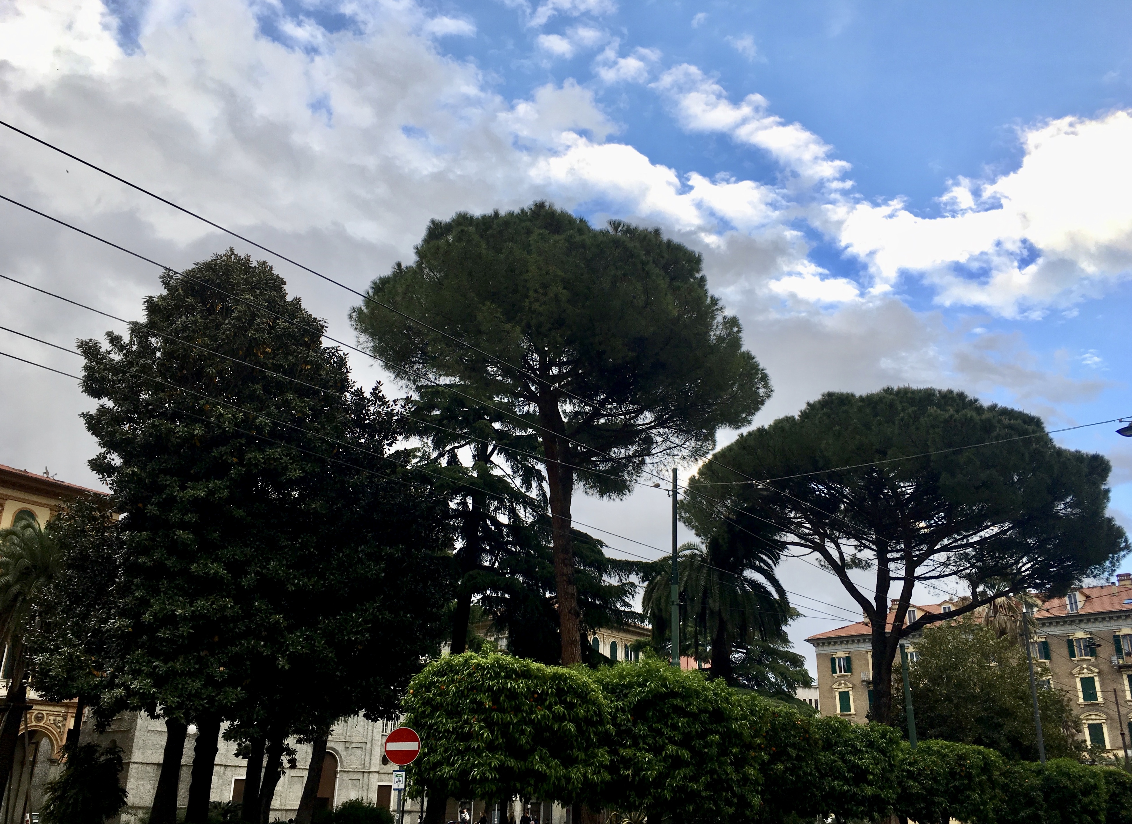 fullsizeoutput_1c049