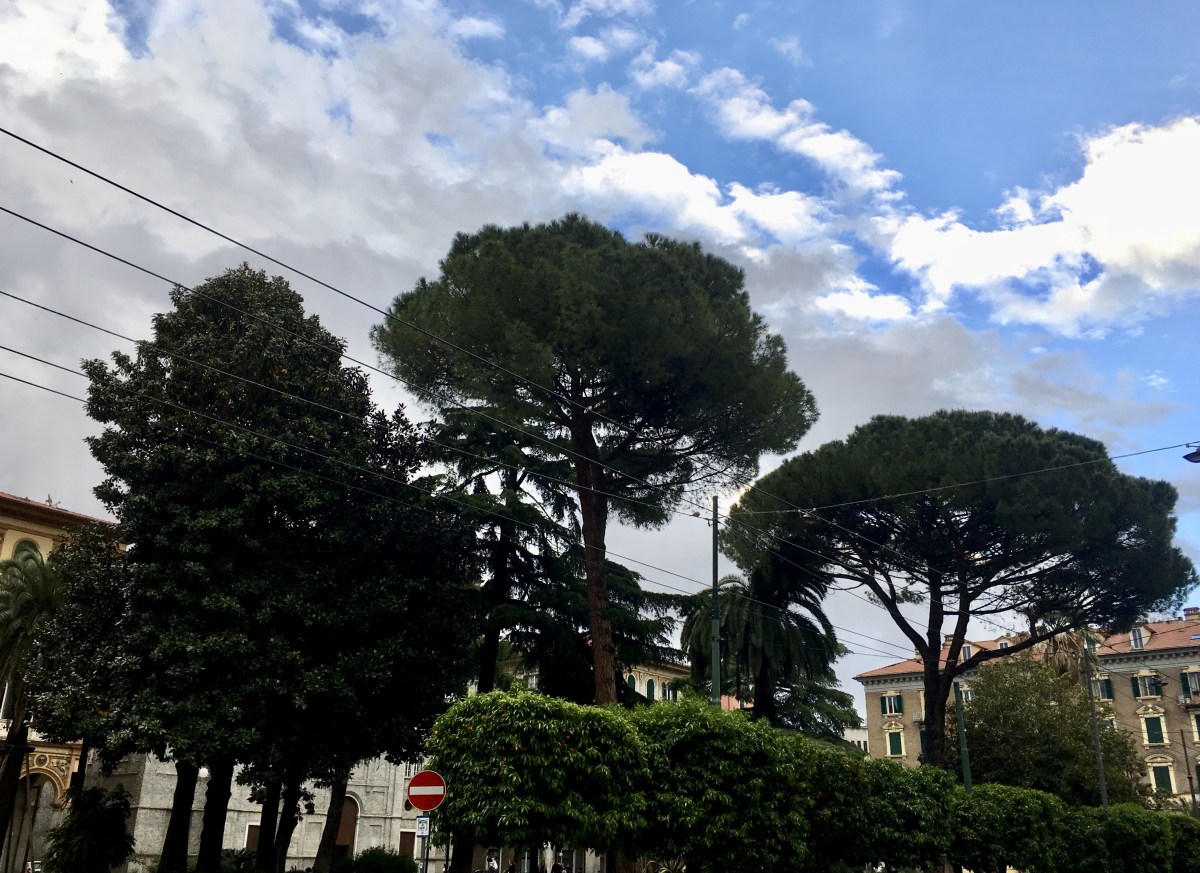 fullsizeoutput_1c049