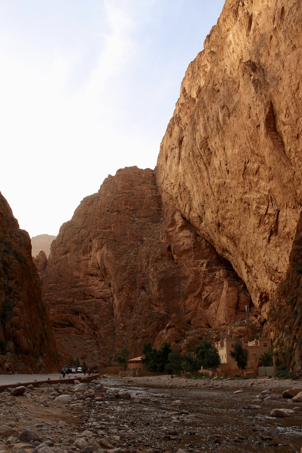 fullsizeoutput_1c16c