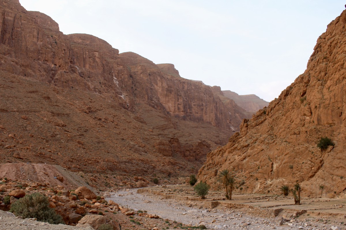 fullsizeoutput_1c173