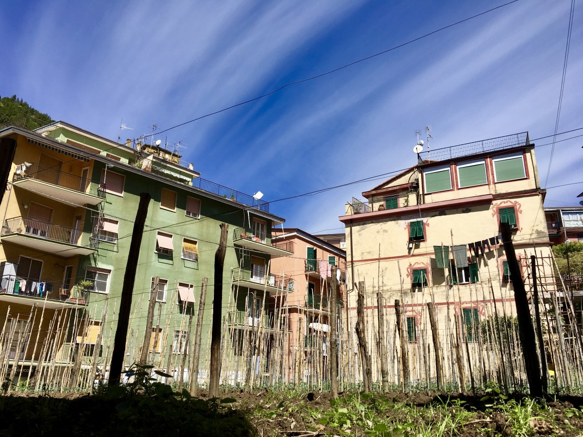 fullsizeoutput_1c6e9