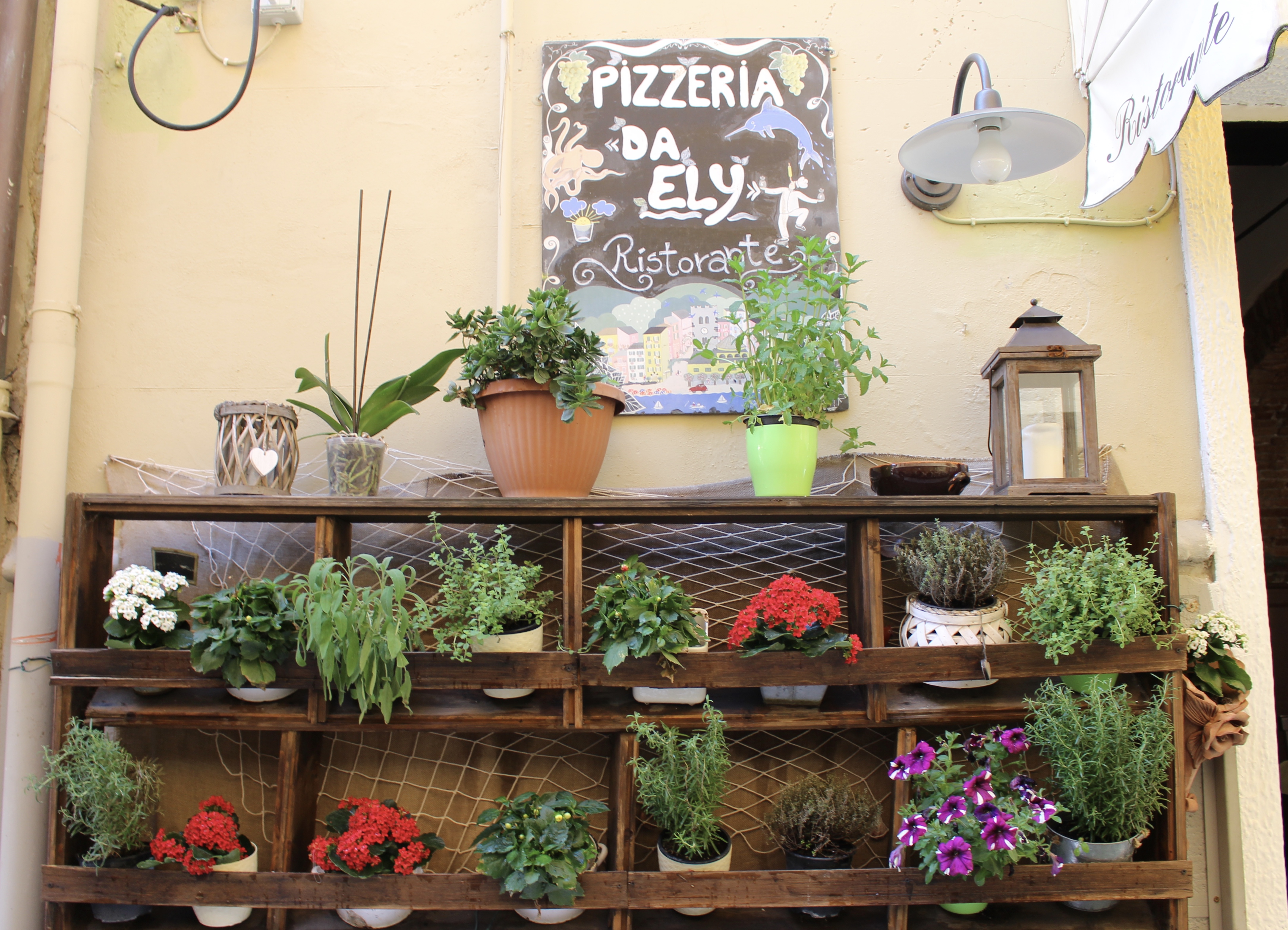 fullsizeoutput_1c736