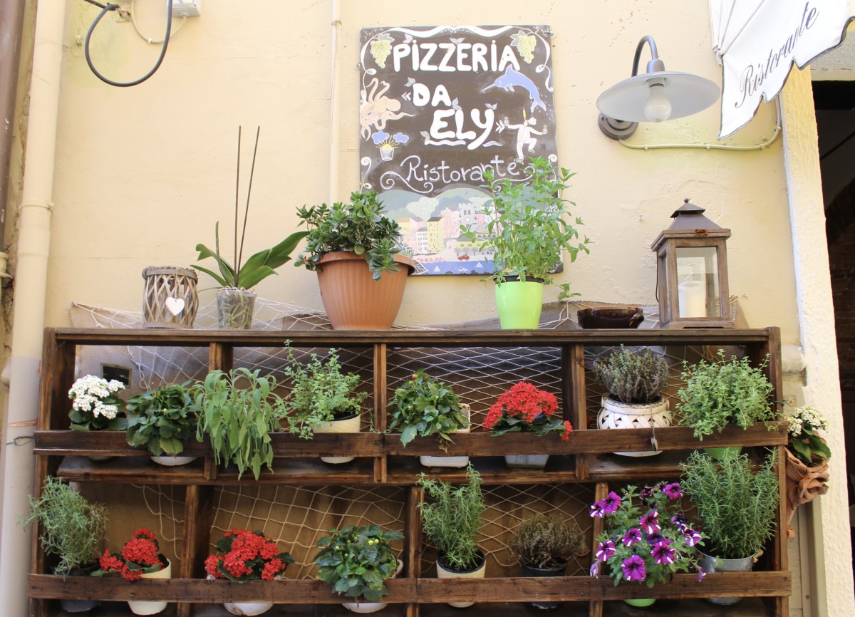 fullsizeoutput_1c736