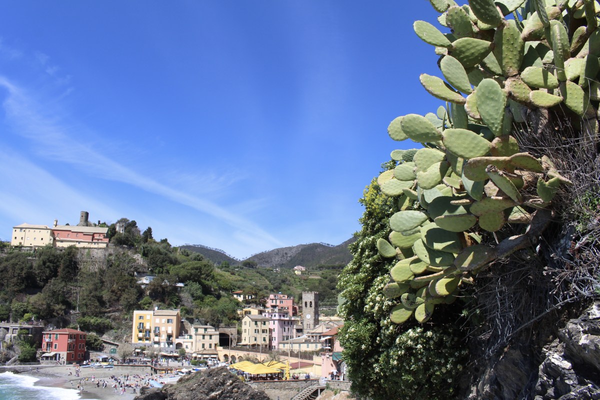 fullsizeoutput_1c755