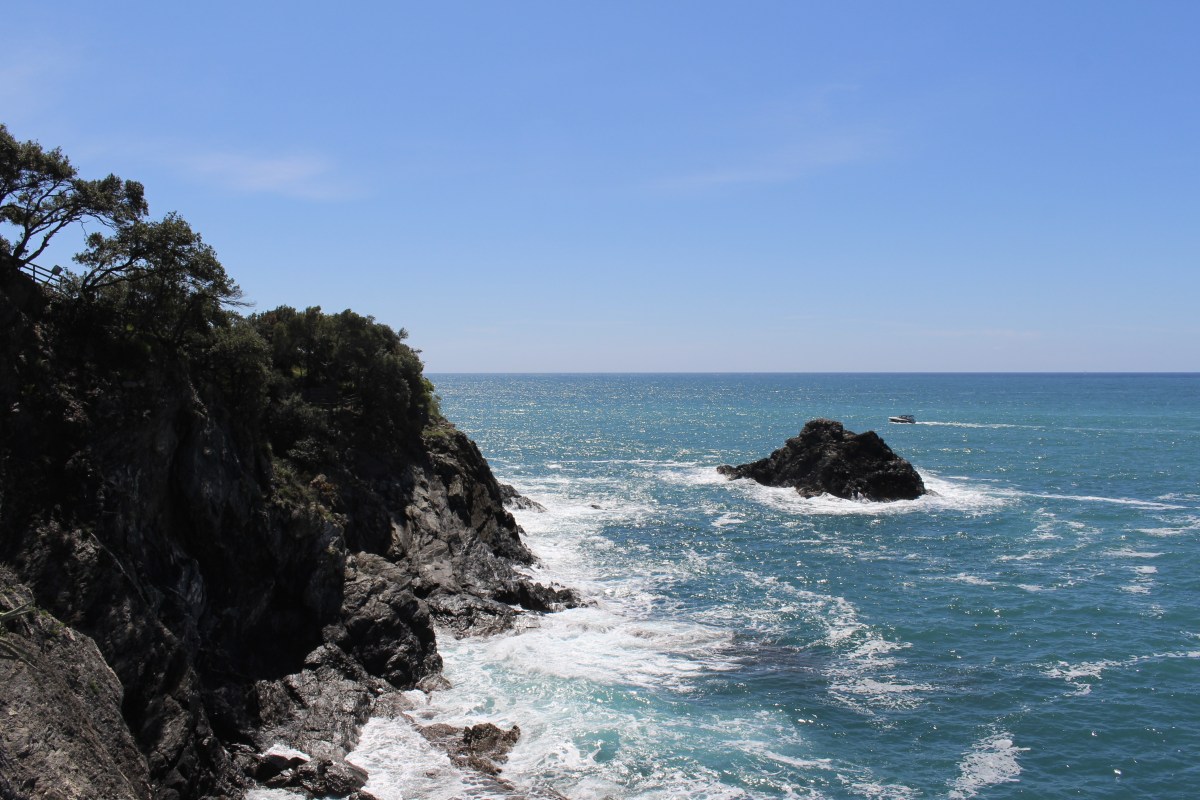 fullsizeoutput_1c758