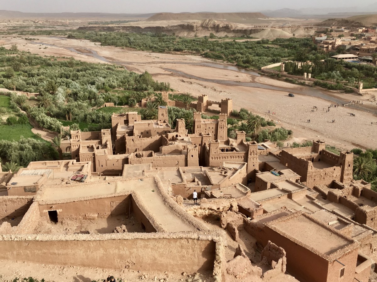 fullsizeoutput_1c7d1