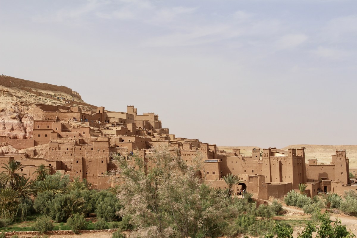 fullsizeoutput_1c7ed