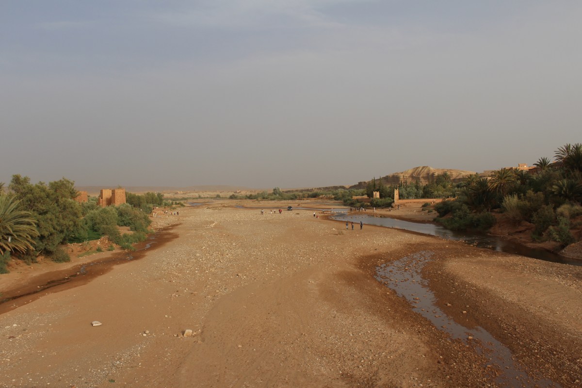 fullsizeoutput_1c7f2