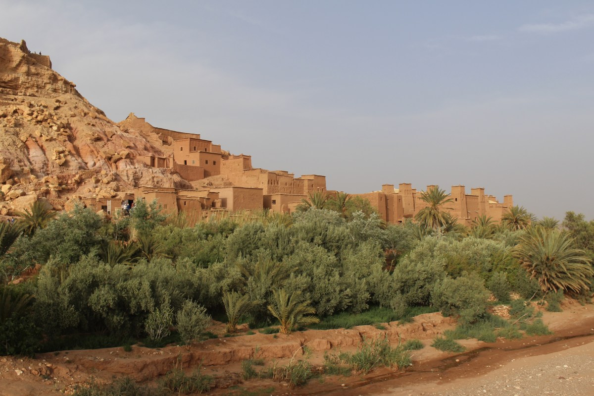 fullsizeoutput_1c7f5