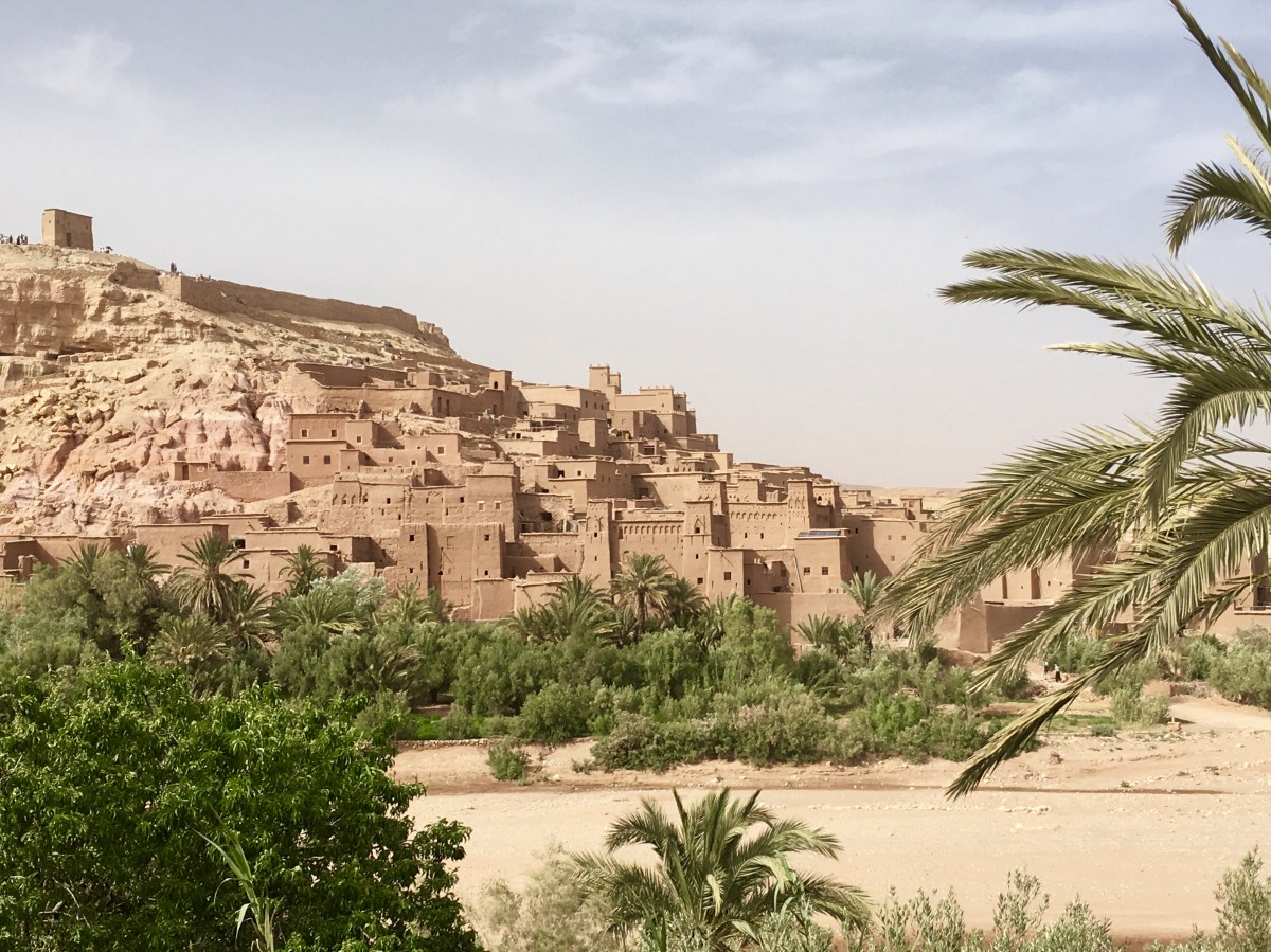 fullsizeoutput_1c7f7