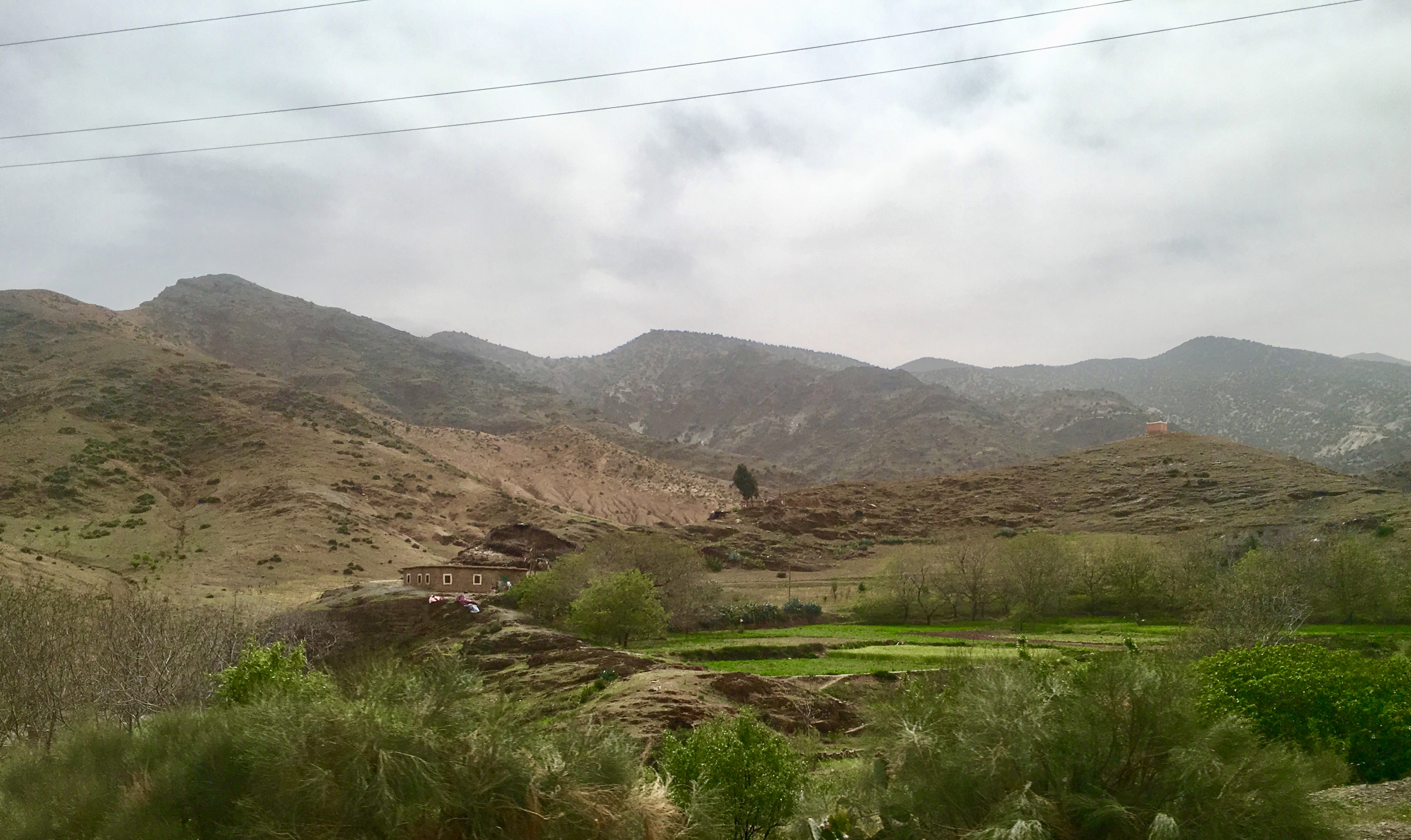 fullsizeoutput_1c9a6