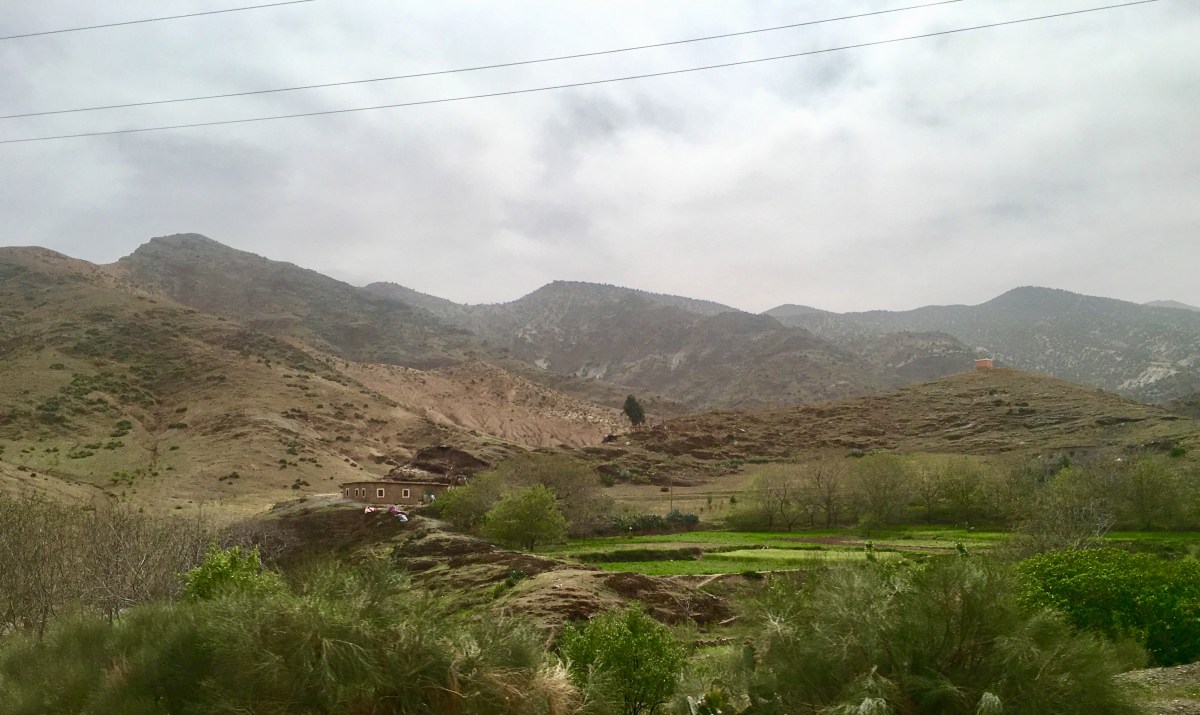 fullsizeoutput_1c9a6