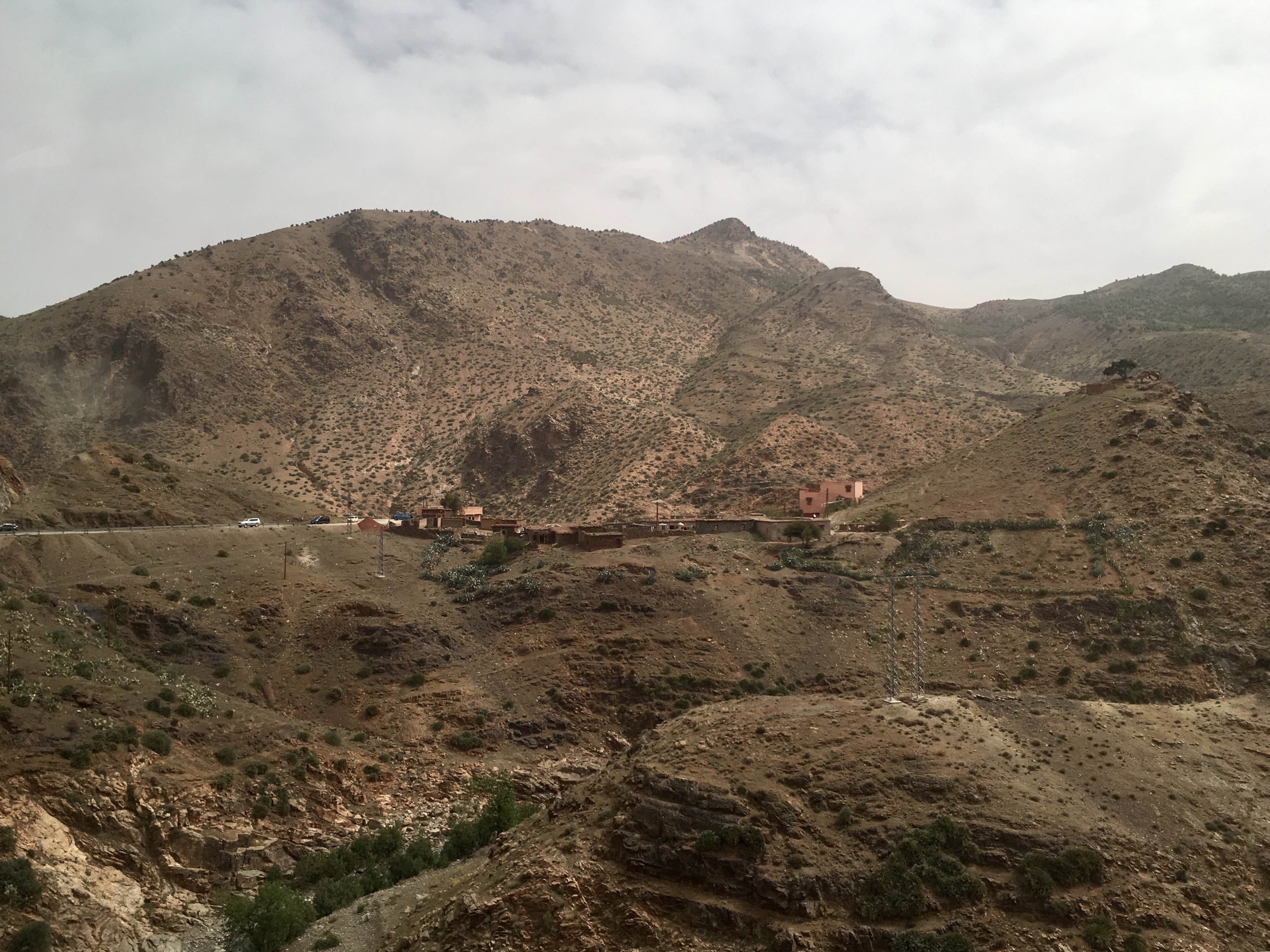 fullsizeoutput_1c9a8