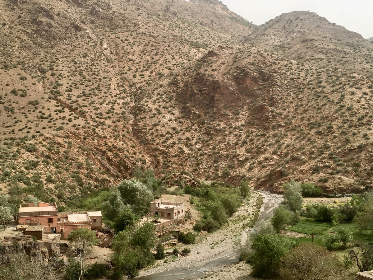 fullsizeoutput_1c9ac