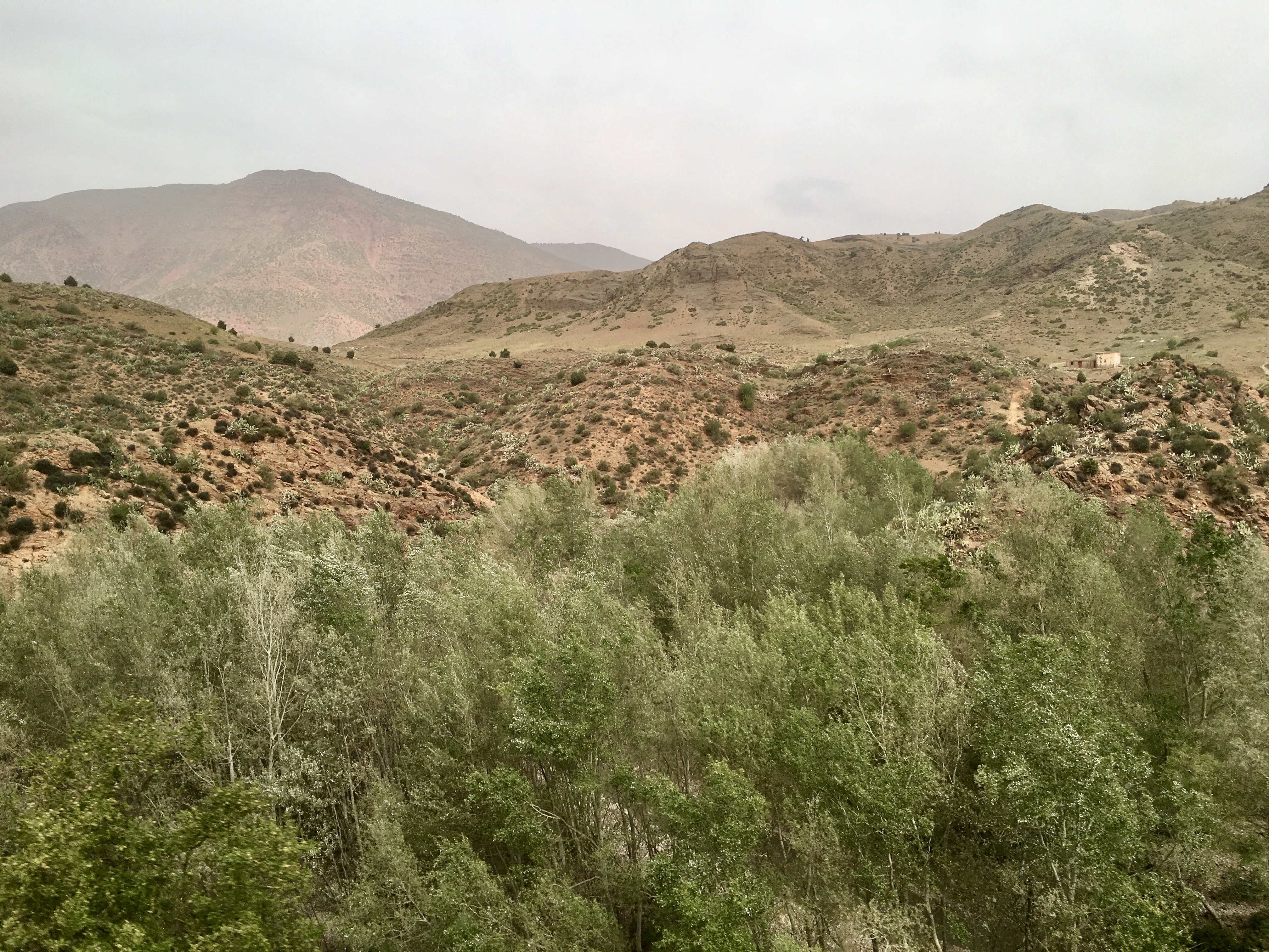 fullsizeoutput_1c9b0