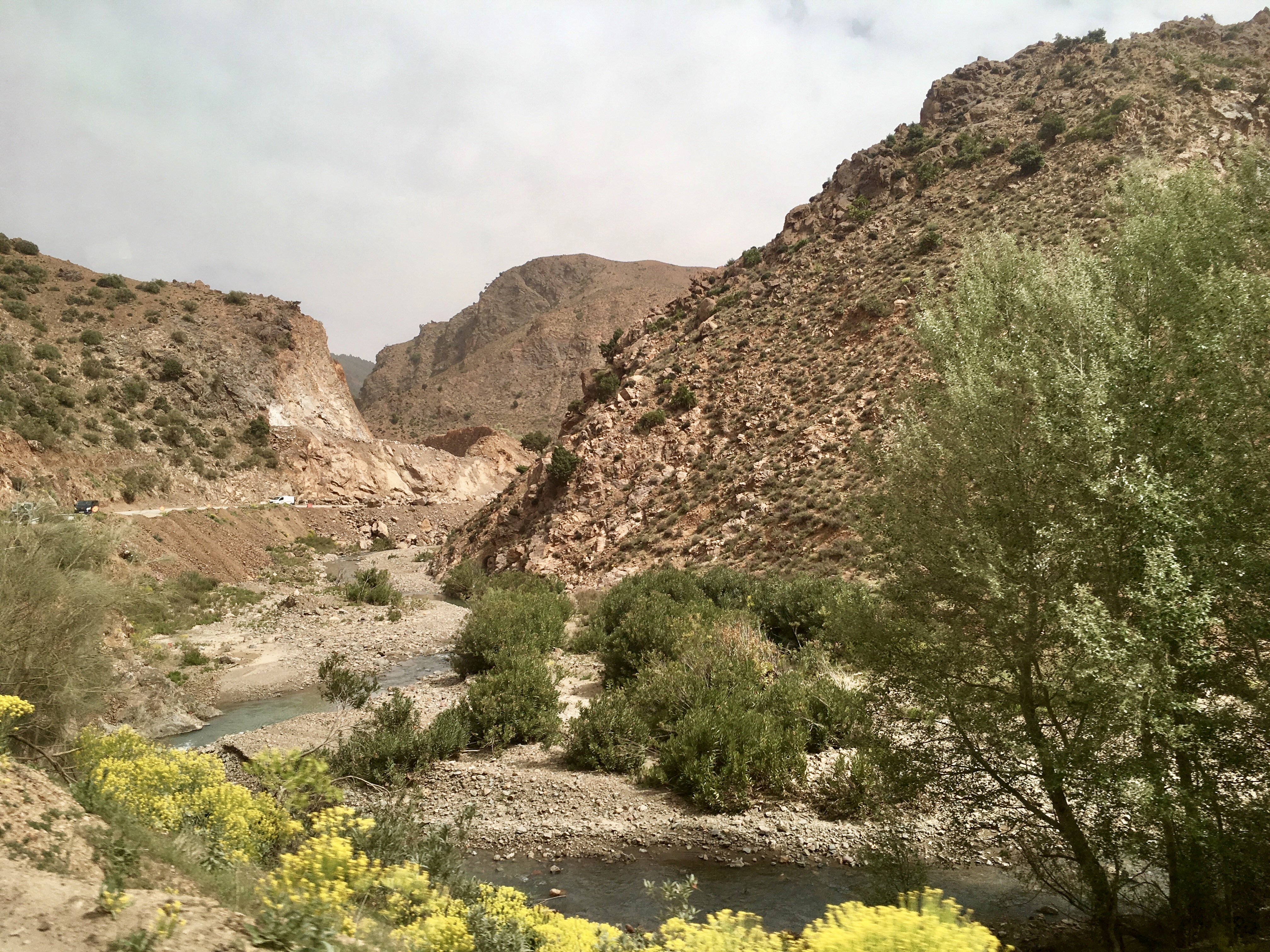 fullsizeoutput_1c9b2