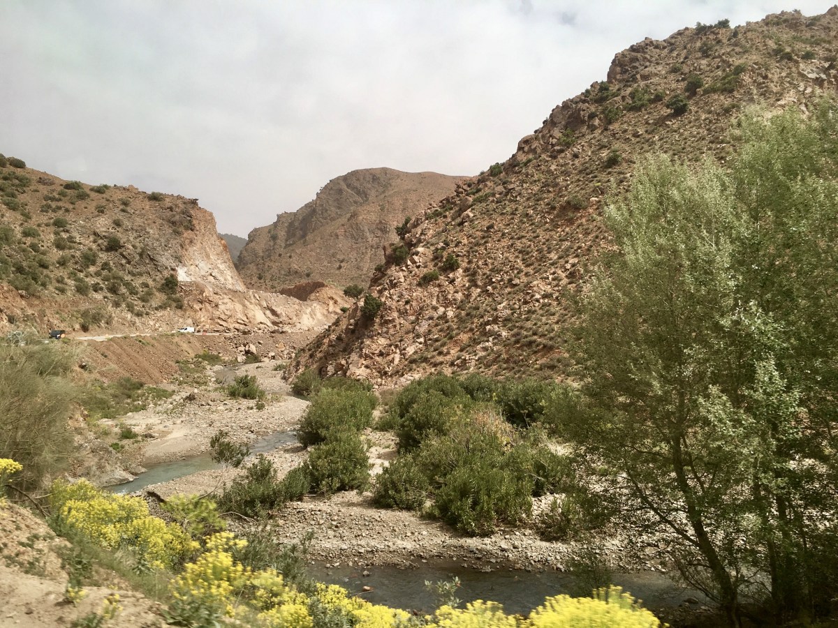 fullsizeoutput_1c9b2