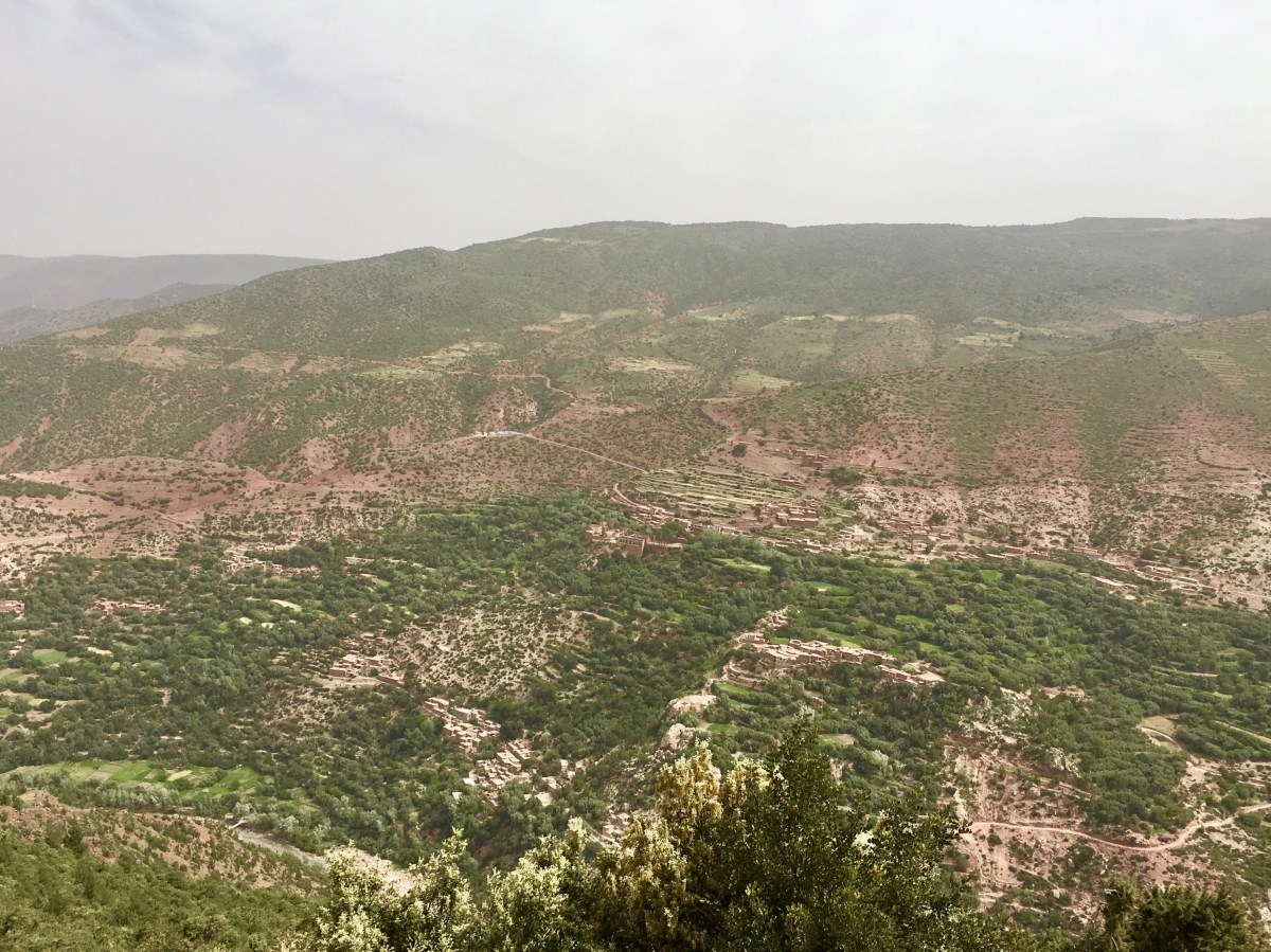 fullsizeoutput_1c9ba