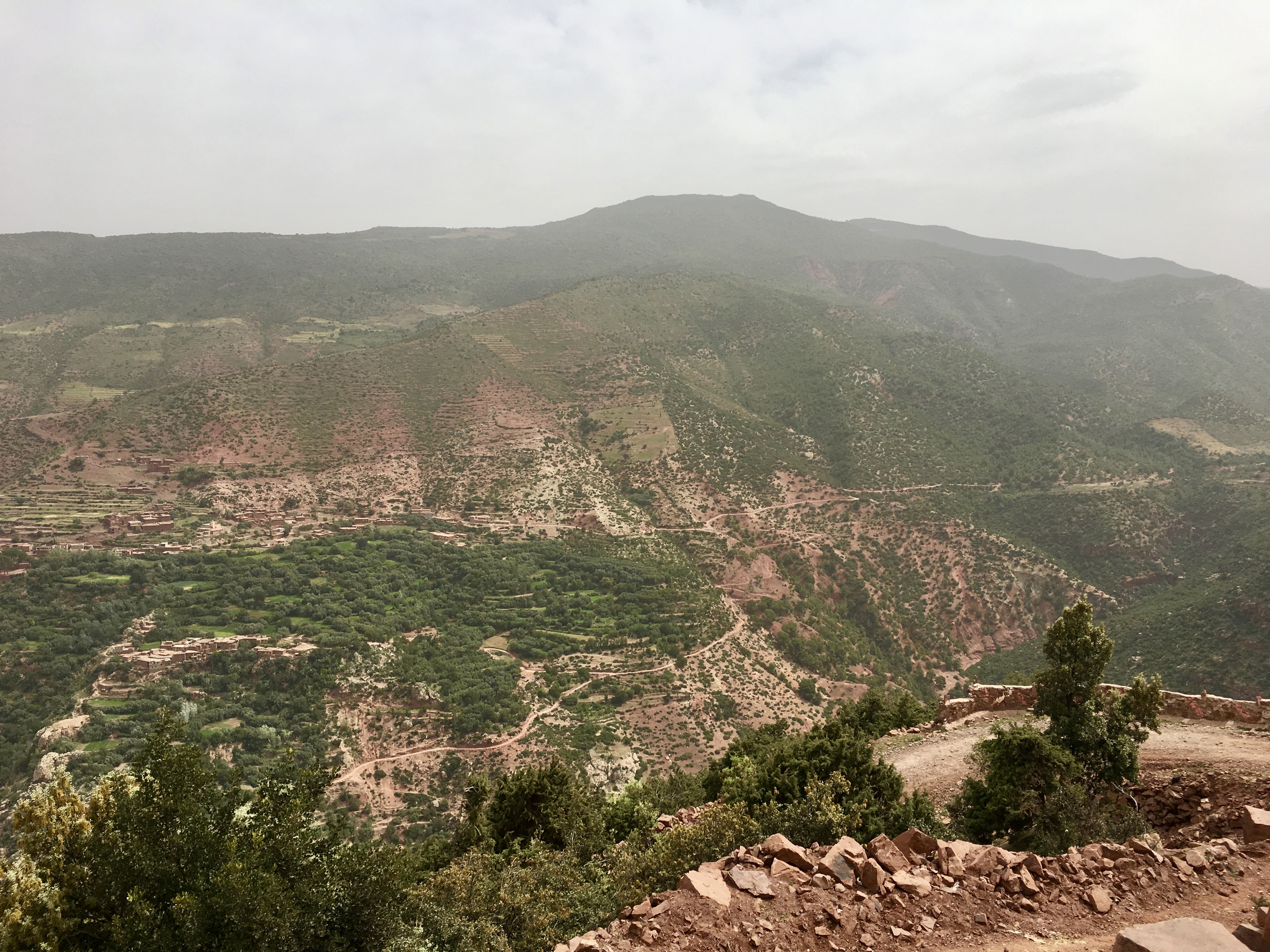 fullsizeoutput_1c9bb