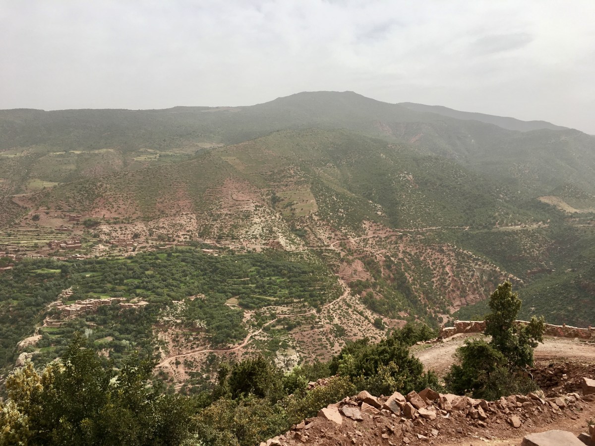 fullsizeoutput_1c9bb