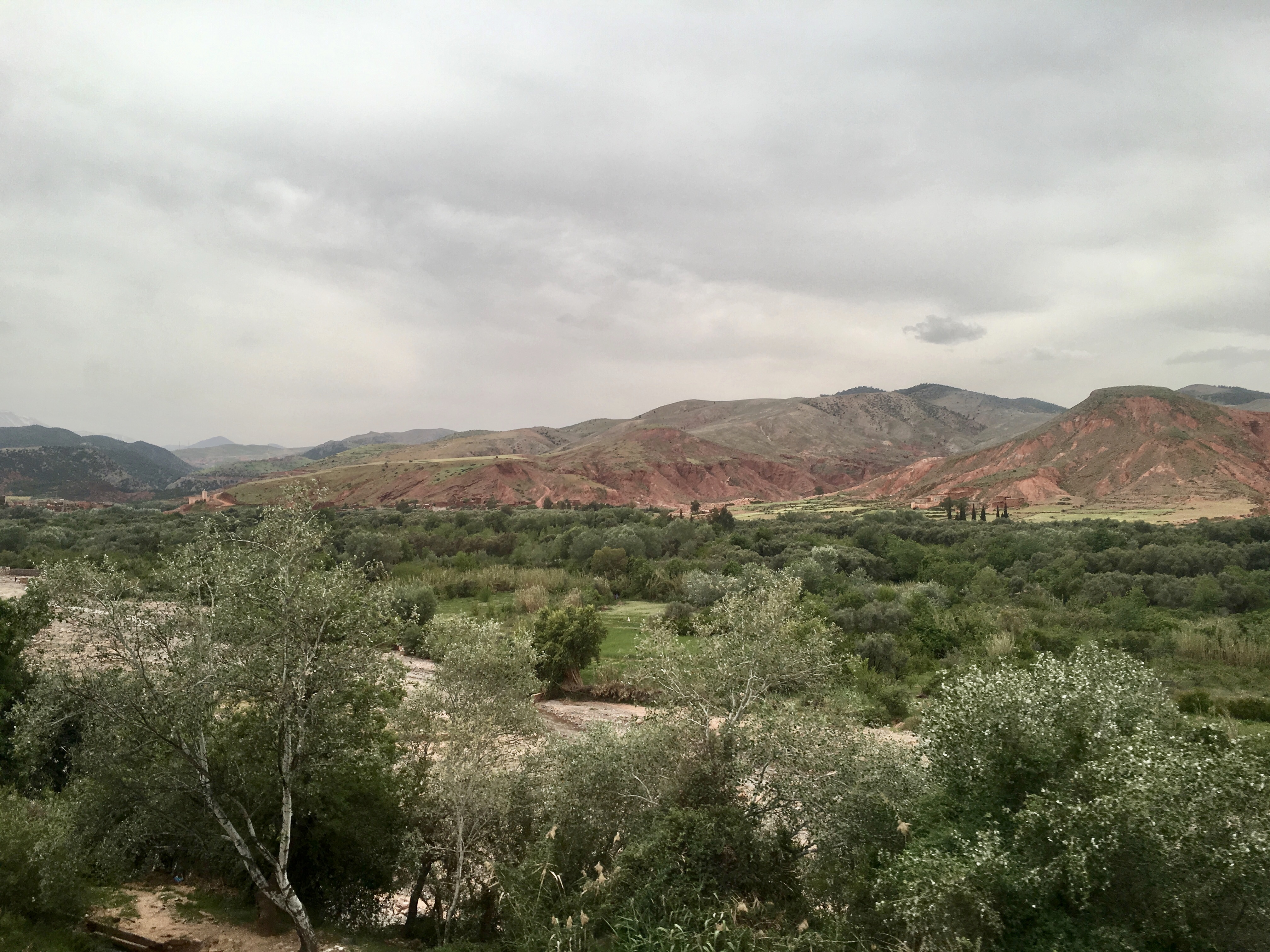 fullsizeoutput_1c9ca