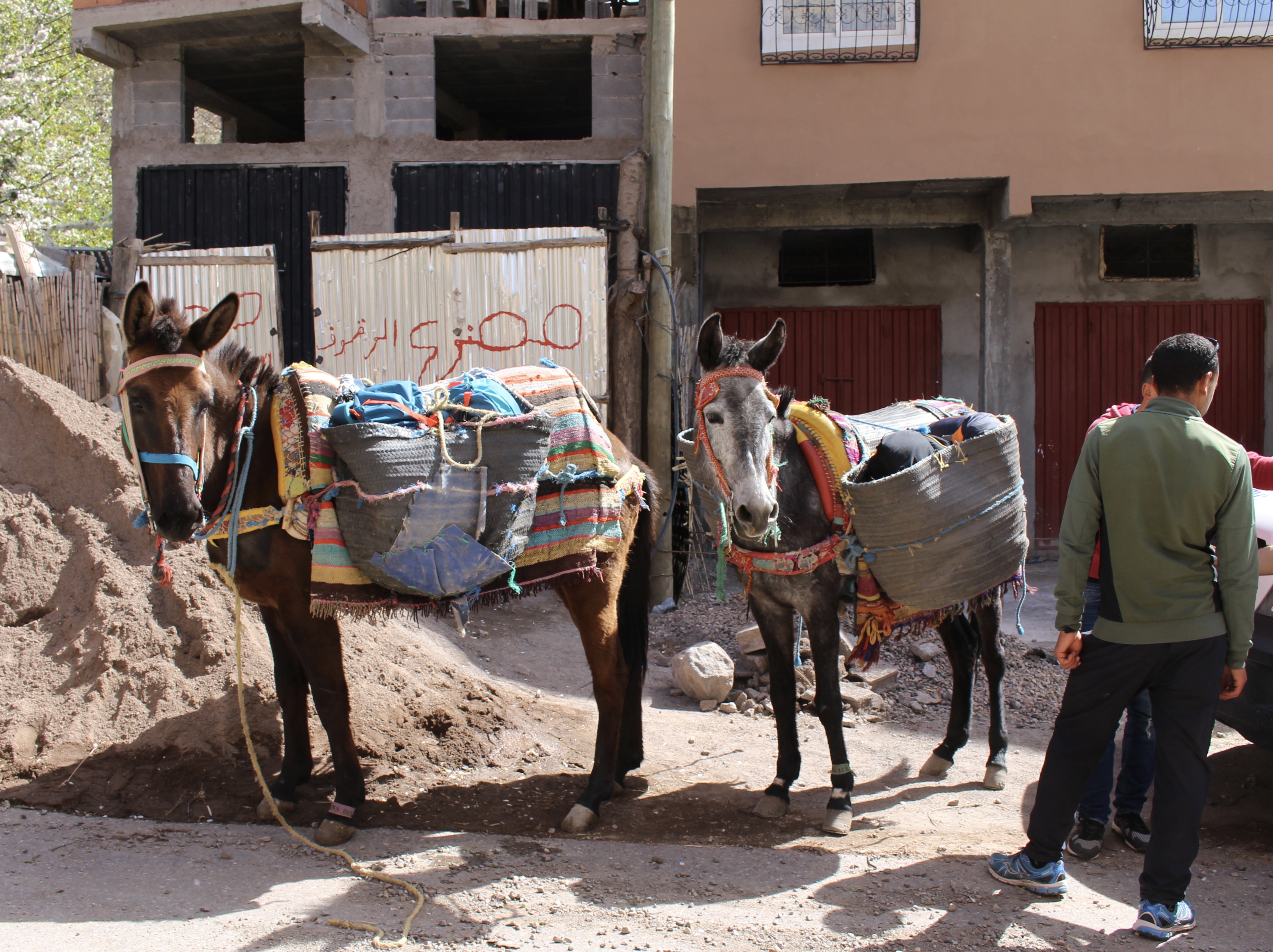 fullsizeoutput_1c9cb