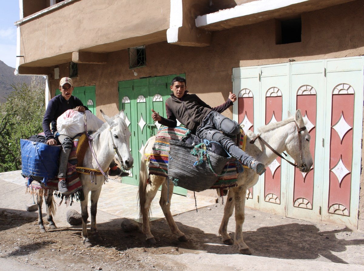 fullsizeoutput_1c9cc