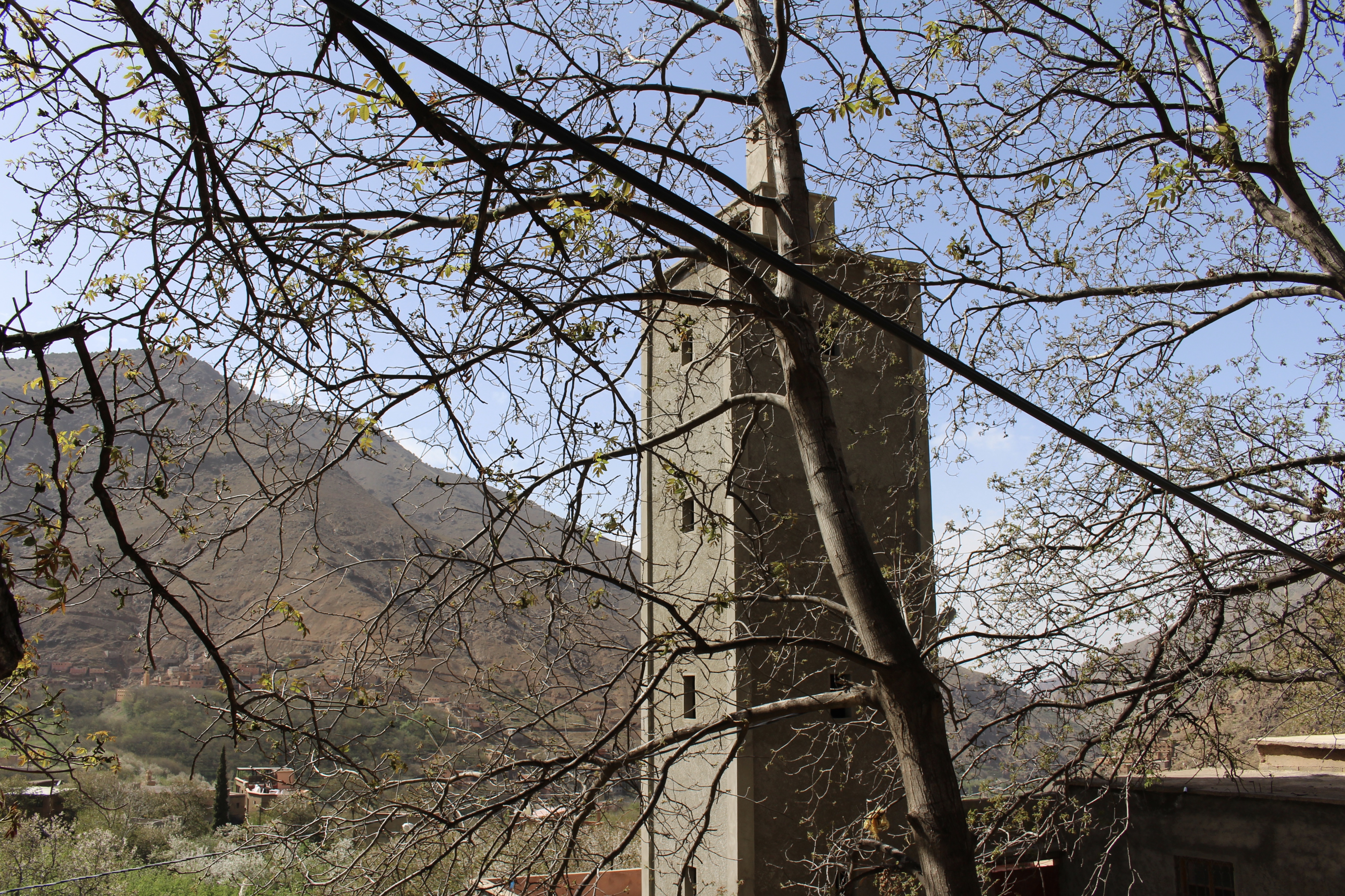 fullsizeoutput_1c9cf