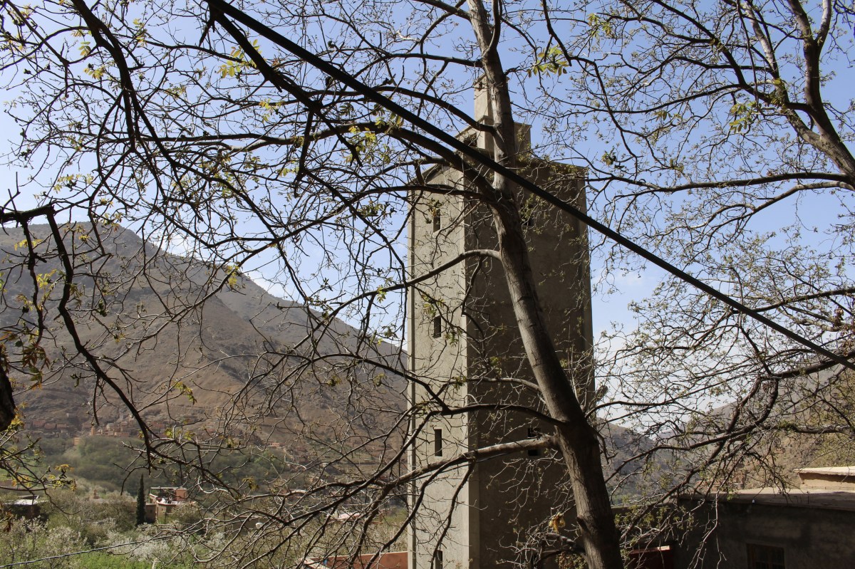 fullsizeoutput_1c9cf