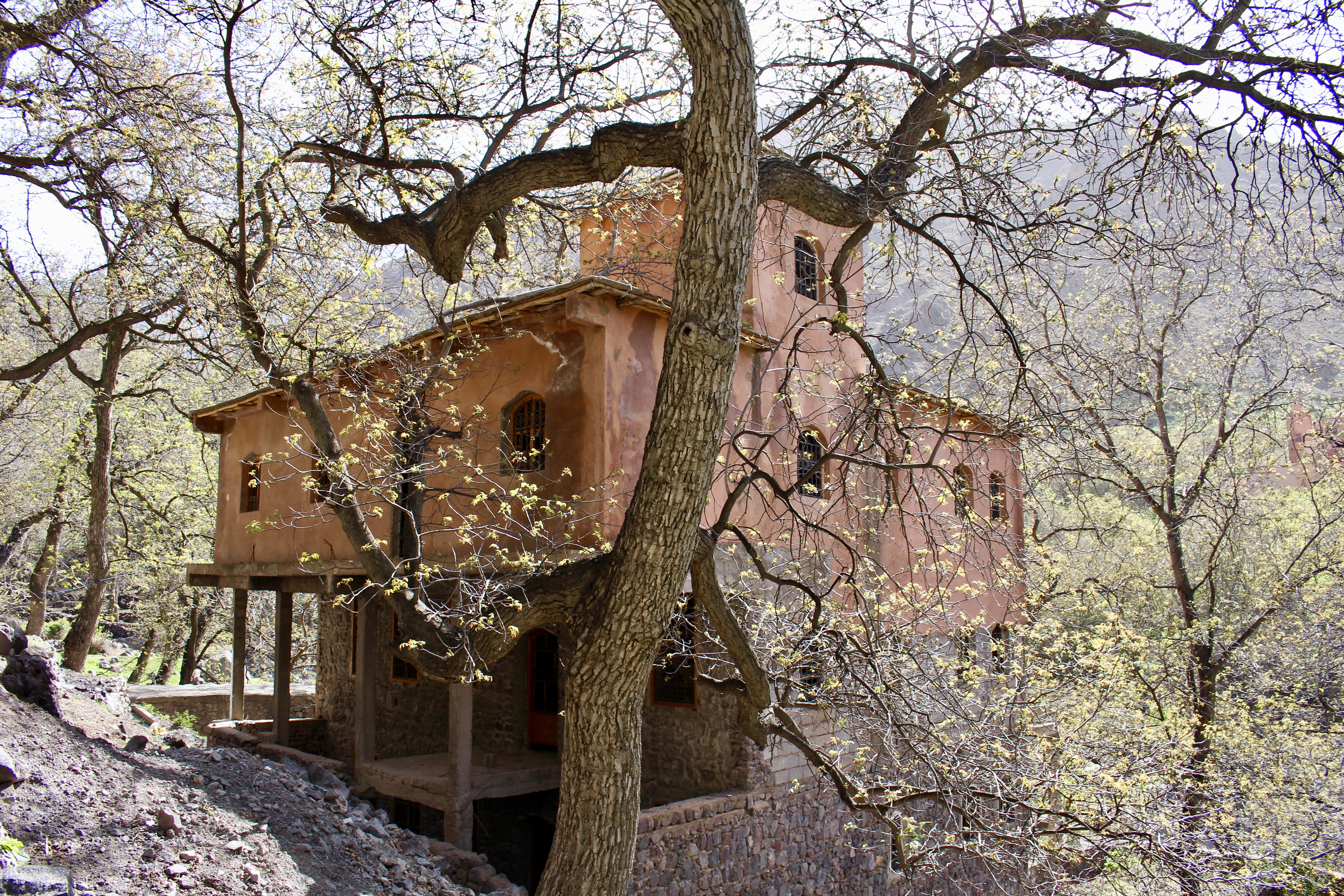 fullsizeoutput_1c9d0